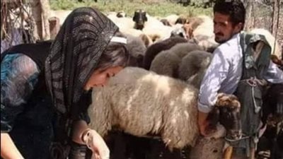دخل رجل ڠريب الى مطعم في الشام وطلب رغيف خبز اكل نصفه وترك النصف الـســر