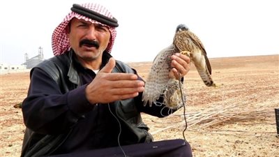 سوري يخسر مبلغ ربع مليار بلمح البصر بعد اصطياد طائر حر شمال شرق سوريا