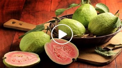 تكسب مبالغ مالية هائلة شهرياً سيدة سورية بمشروع زراعة “الفاكهة الخارقة”! (فيديو)