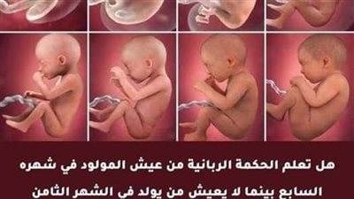 لماذا يعيش المولود في شهره السابع بينما لا يعيش من يولد في الشهر الثامن؟