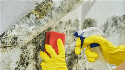 3 طرق لتنظيف العفن من حواف النوافذ