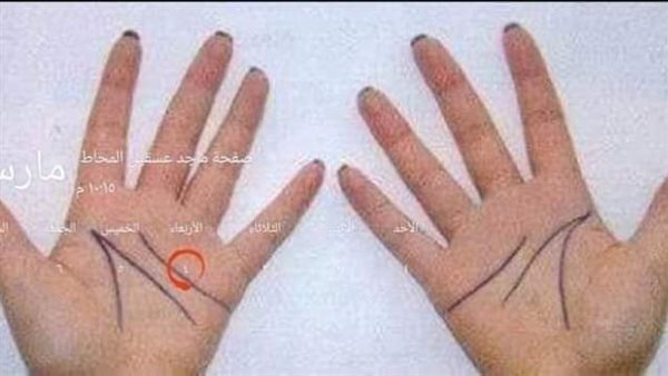 موقع أيام نيوز