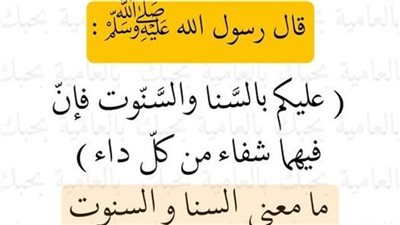 قال رسول الله ﷺ عليكم بالسَّنا والسَّنّوت فإنّ فيهما شفاء من كلّ داء 