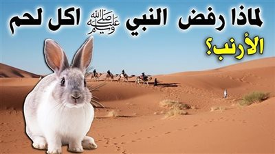 لماذا أمتنع النبي ﷺ ورفض اكل لحمم الارنب