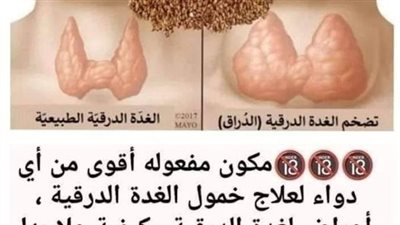 علاج خمول الغده بالاعشاب 