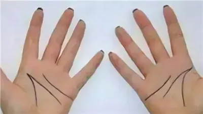 ما سر الخطوط في يدك