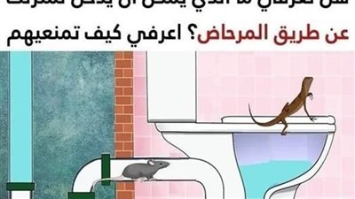 حيوانات وزواحف تستطيع دخول منزلك عن طريق المرحاض وكيفية منع حدوث هذا الموقف