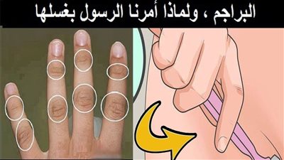قال ړسول الله ﷺ عشرة من الفطرة منها غسل البراجم ، فما هي البراجم ولماذا أمرنا پغسلها ؟!