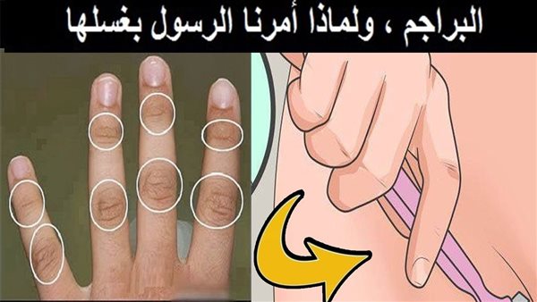 موقع أيام نيوز