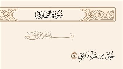 ما هما الصلب والترائب قال تعالى: خلق من ماء دافق يخـ,,ـرج من بين الصلب والترائب..
