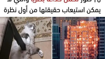 +10 صور تحمل خداعاً بصرياً والتي لا يمكن استيعاب حقيقتها من أول نظرة بدون تركيز