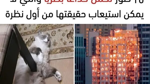 موقع أيام نيوز