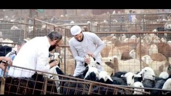موقع أيام نيوز
