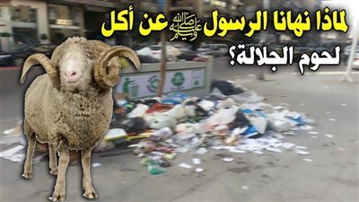 لماذا نهى النبي عن أكل الجلالة وشرب ألبانها؟.. باحث بالأزهر يجيب
