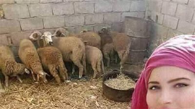 هناك رجل متزوج حديثا يعمل في الصحراء