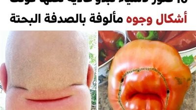 +10 صور لأشياء عادية لكنها كوّنت أشكال وجوه مألوفة بالصدفة البحتة