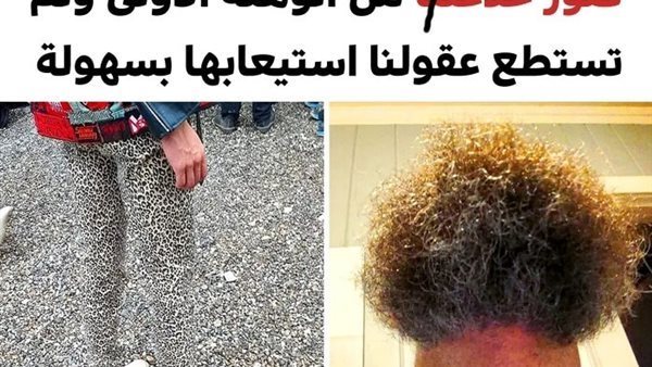 موقع أيام نيوز