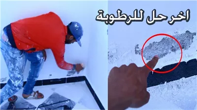 الحل النهائي لإزالة العفن والرطوبة من الجدران في ثواني بدون تكاليف بمكون سحري هترجع جديدة لانج