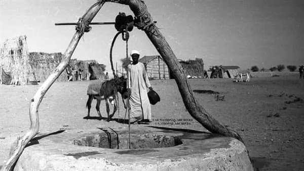 موقع أيام نيوز