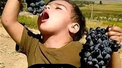 قصة سيدة مسلمة بامريكا