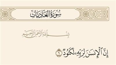 معنى إن الانسان لربه لكنود