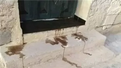 قصة واقعية .. دود يخرج من منزل عروس وعريس ولن تصدق مالسبب