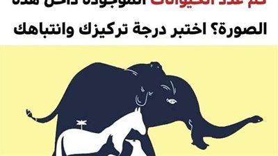 اختبر حدة بصرك وقوة ملاحظتك وحاول معرفة عدد الحيوانات الصحيح في هذه الصور العشر