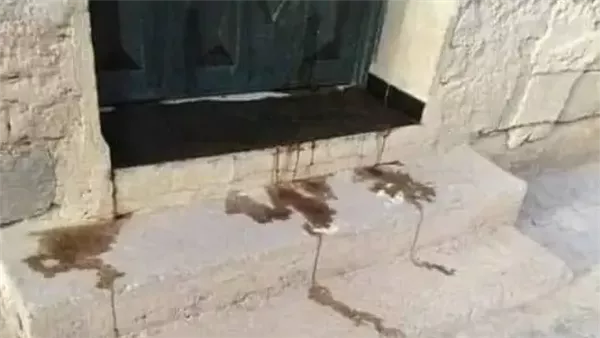 موقع أيام نيوز