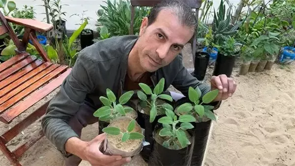 موقع أيام نيوز