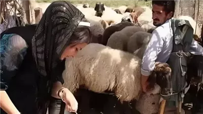 قصة الغريب الذي دخل الشام ووفاءه للخبز والملح