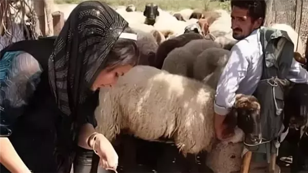 موقع أيام نيوز