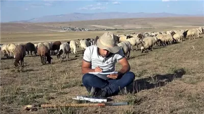 قصة راعي الغنم الذي قرر الزواج من فتاة ليتفاجئ بردها
