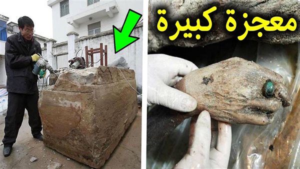 موقع أيام نيوز