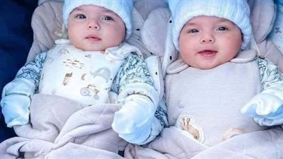 الف مبروك يا مدام لطف توأم بنات تاني...انتي طالق !!!