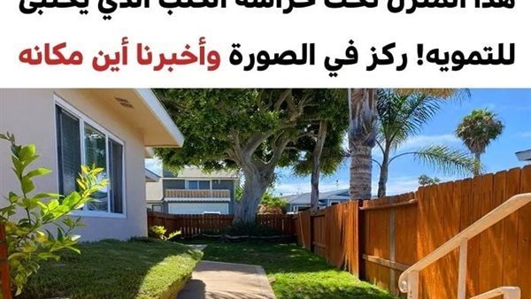 موقع أيام نيوز