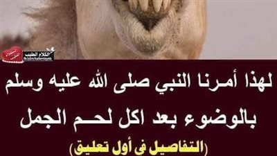 لماذا امرنا النبي بالوضوء بعد اكل لحـم الجمل