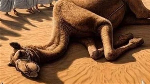 موقع أيام نيوز
