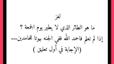 هذا الطائر الوحيد الذي لايطير يوم الجمعة