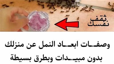 أحدث الطرق للتخلص من النمل في المنزل