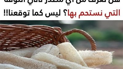 وأخيراً عرفنا من أي مصدر تأتي اللوفة التي نستحم بها والحقيقة أنها خلاف ما توقعنا