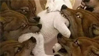 قيل كان راعي غنم عند سيدنا سليمان بن داوود يرعى الغنم أتى عليه ذئب وقال له أعطني نعجة !؟