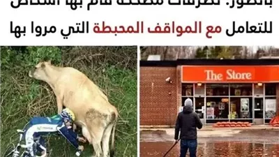 9 تصرفات مضحكة قام بها بعض الأشخاص للتعامل مع المواقف المحبطة التي مروا بها
