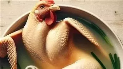 صورة الدجاجة بتاعت البيـت هنا بالمقال