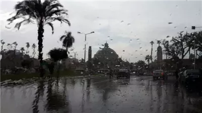 أمطار ورياح على هذه المناطق.. الأرصاد تكشف حالة الطقس غدًا