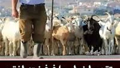 قصة راعي الغنم قال لها أريد أن أخطبك (كاملة)