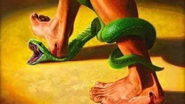 موقع أيام نيوز