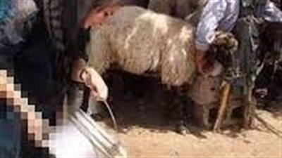 دخل رجل الى مطعم فى الشام وطلب رغيف خبز وملح
