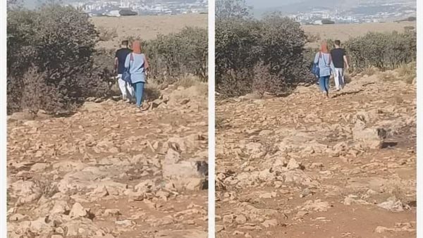 موقع أيام نيوز