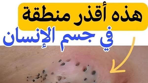 موقع أيام نيوز