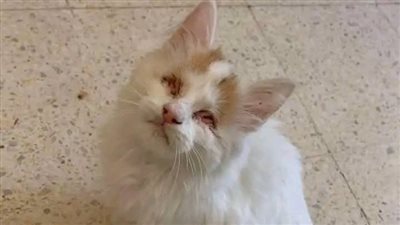 قصه جوزى دخل عليا الشقة لقاني قاعدة بعيط